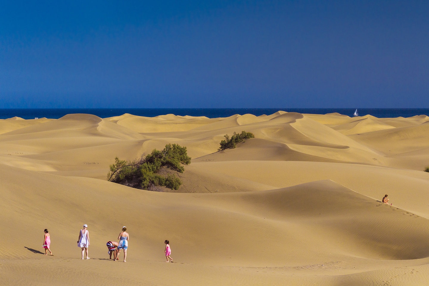 2 Maspalomas