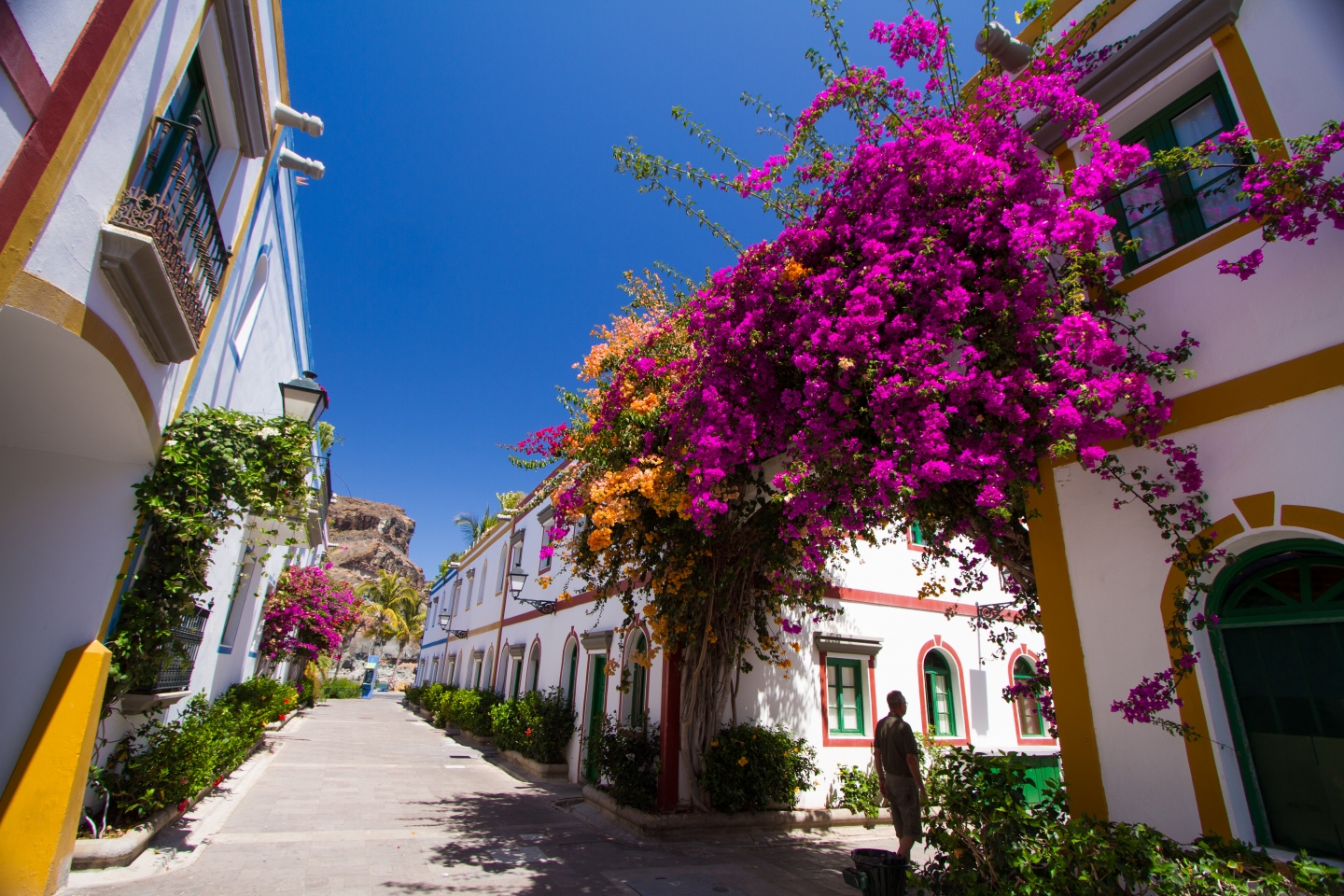 Puerto de Mogán Taurito 014