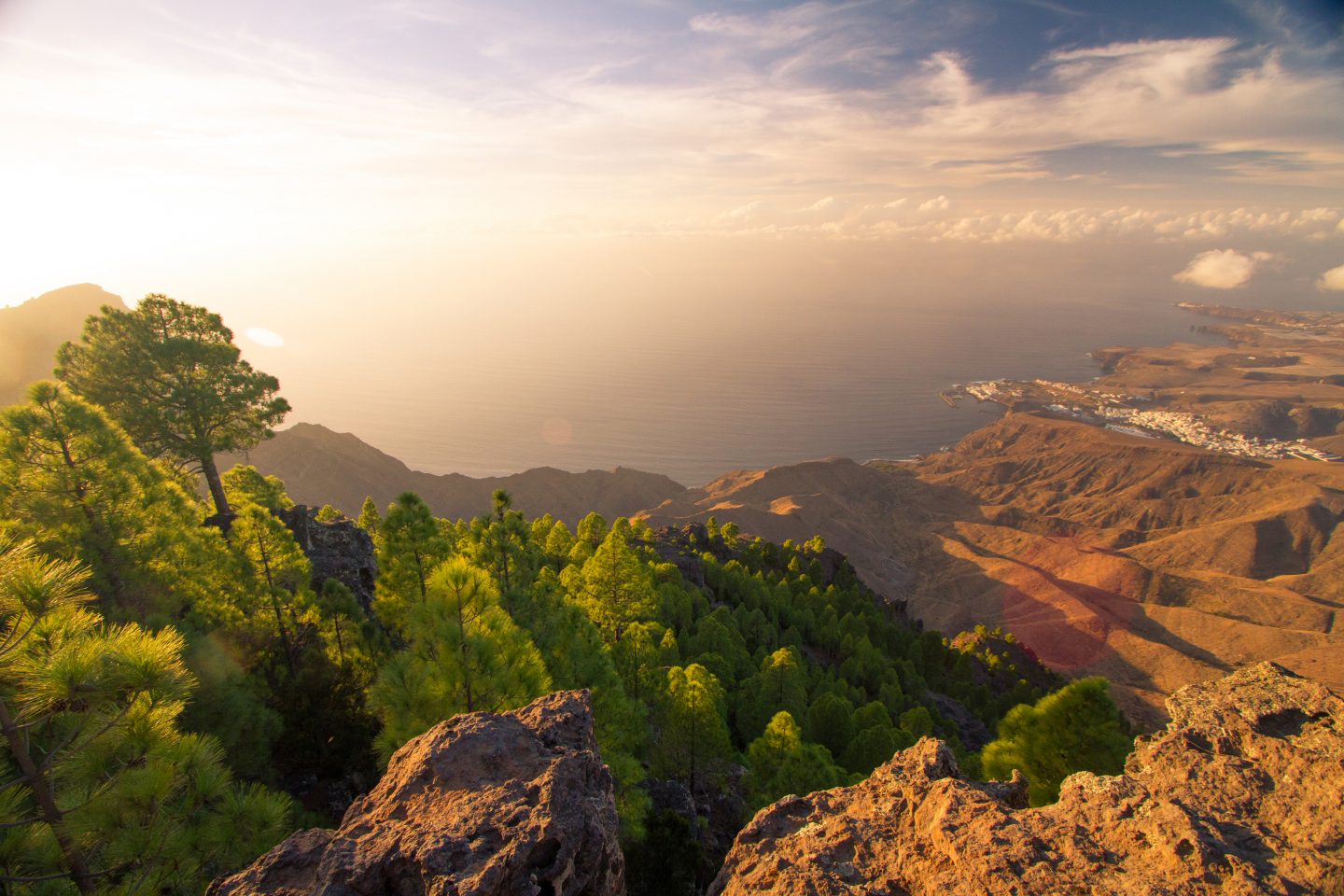 Tamadaba view
