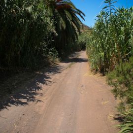 Veneguera