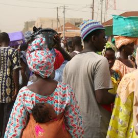 One day excursion The Gambia