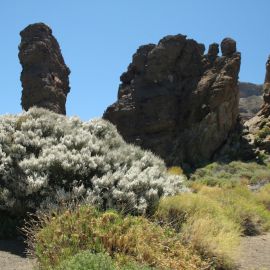 Tenerife