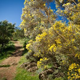 ruta_cueva_de_los_candiles-003