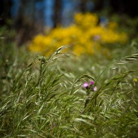 ruta_cueva_de_los_candiles-013