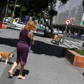 Streetlife