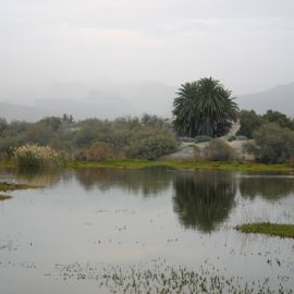 maspalomas-021