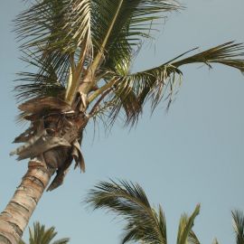 maspalomas-079