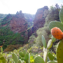 Hiking (walking - trekking)