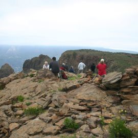 South East with Neophron