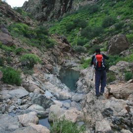 Hiking (walking - trekking)