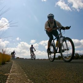 Mountain-Biking (MTB)