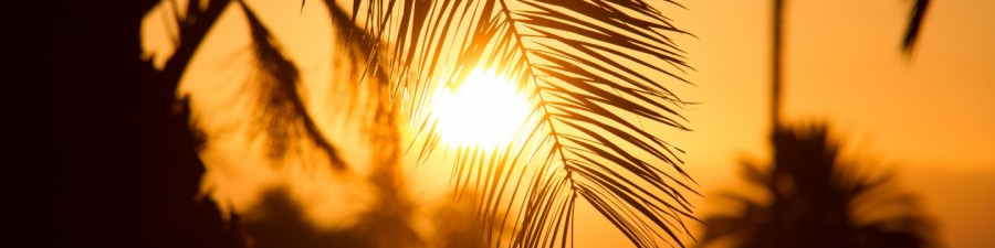 Everything You Need To Know About Gran Canaria's Weather