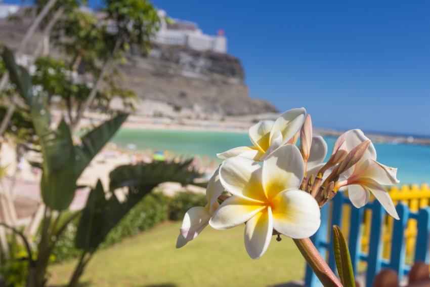 Great reasons to visit Gran Canaria