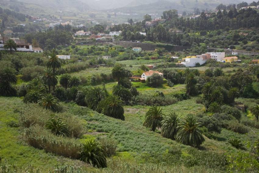 The view from Santa Brigida church